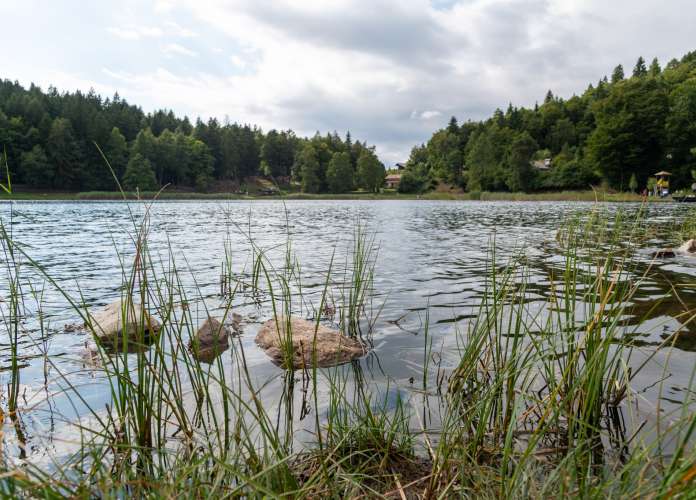 20250824155756-DSC_7260