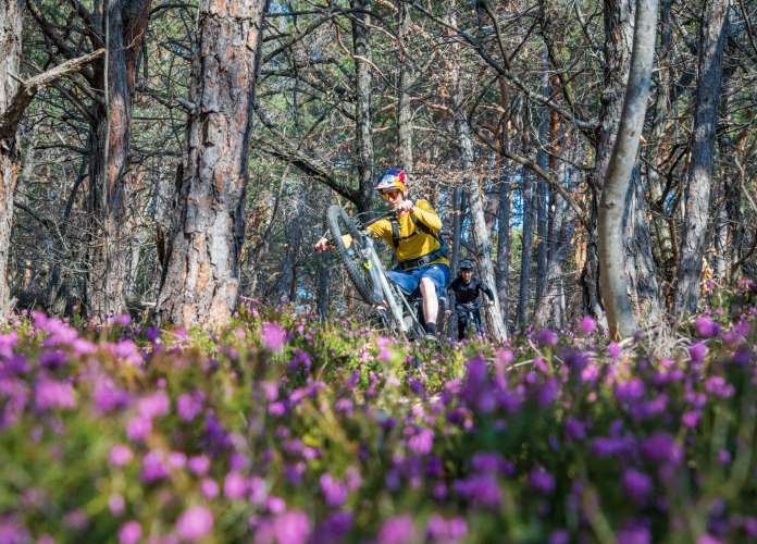 20220319103303-_8501435