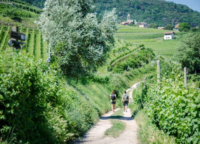 20170528145937-_DSC9619