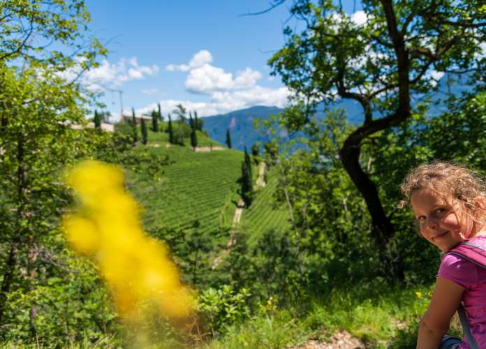 20200620124512-_8504037