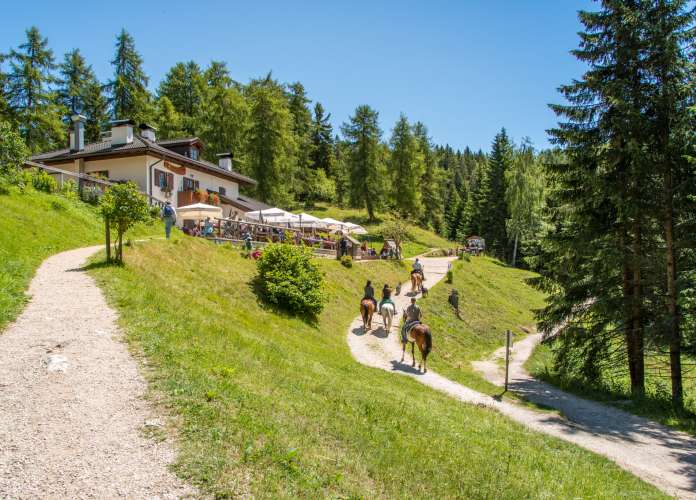 20120722125535-800_1237