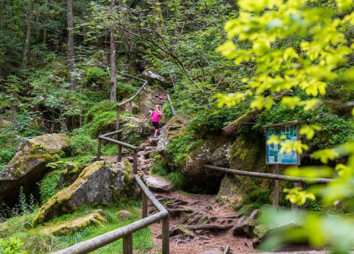 20200823132952-_8501256