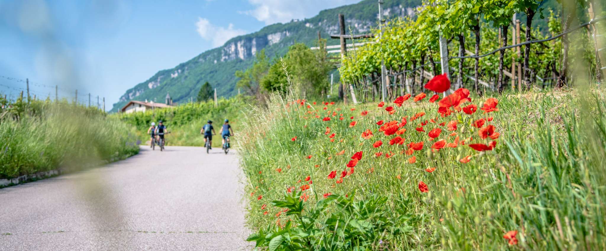 20240511103232-DSC_6632